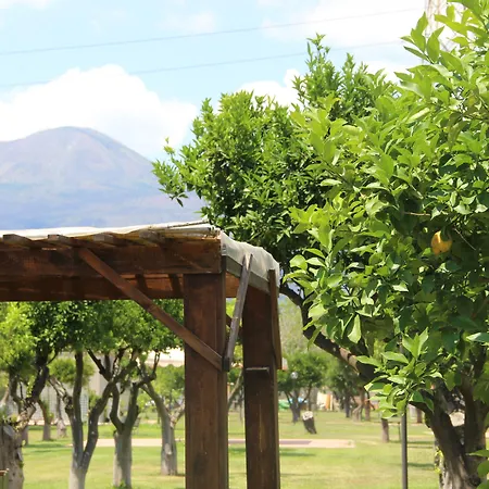 Julia ゲストハウス 4*