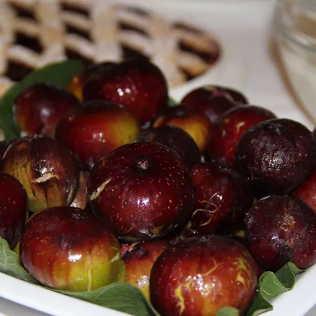 Julia Maison d'hôtes Pompéi